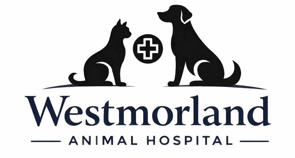 Westmorland Animal Hospital